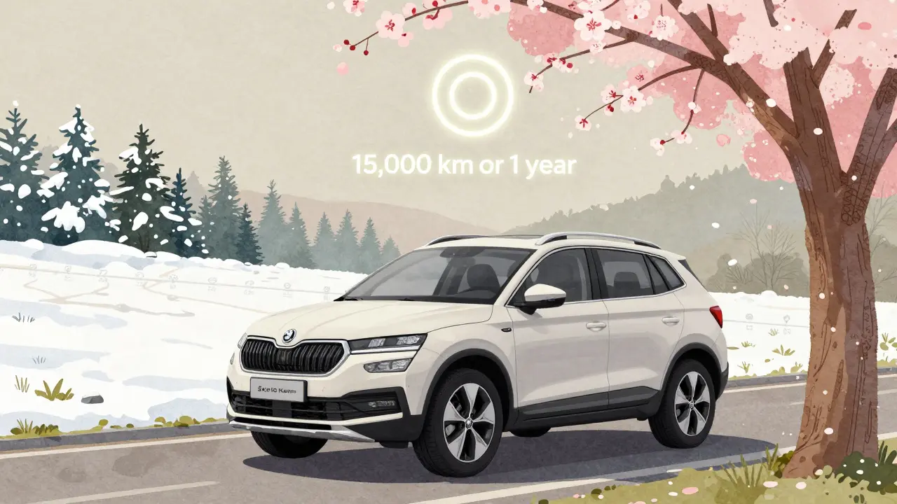 Škoda Kamiq v sezónním prostředí s náznakem servisního intervalu 15 000 km nebo ročně.